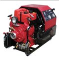 加拿大CET消防泵PFP-46HPVW-2D 图片