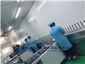 柳州自动喷涂喷漆生产线 图片