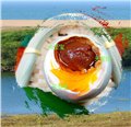 北海出油海鸭蛋/广西天圣宝加工厂家 供应信息