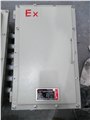 bxj 隔爆型防爆接线端子分线盒200x300 规格防爆接线箱 图片