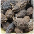 优质草果直销/益康堂生物科技 供应信息