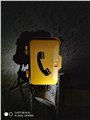 矿用防水IP电话机，IP66防水防潮，支持POE供电 图片
