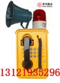 HD-200隧道紧急电话机，防水防潮防爆 图片