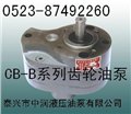 CB-B2.5,CB-B4,CB-B6,CB-B10,CB-B16油泵 图片