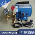 DSY-60手提式电动试压泵 图片