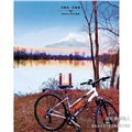正品田纪香价格/田纪香企业管理有限公司 供应信息