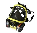 成都XO-BH1全面罩防毒面具 图片