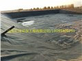 直销HDPE土工膜 污水处理防水土工膜 垃圾填埋专用土工膜 图片