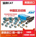 猫牌CAT2530高压柱塞泵310/1011/1050/1051/251 图片