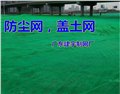 广州南沙防尘网盖土网厂 图片