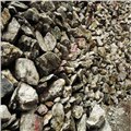 东莞矿砂检测铼含量、专业铼含量检测中心 图片
