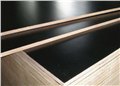 廊坊建筑模板厂/云浩建筑模板 供应信息