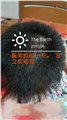 广西掉头发治疗哪家效果好/发之友 供应信息