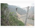 优质被动防护网/四川红蜀蓉金属制造 供应信息
