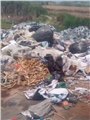 上海工业保温棉垃圾清运承包，闵行区承包垃圾清理中心 图片