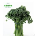 西兰苔价格/成都市好特蔬农业 供应信息