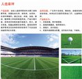 河北耐磨地坪/石家庄梵特地坪 供应信息