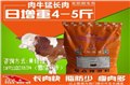 5%肉牛預(yù)混料 圖片