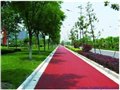 柳城县黑色沥青路面改色彩色路面喷涂修复 图片