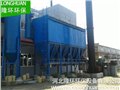 采购生物质锅炉除尘器/河北隆环环保 供应信息