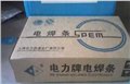 上海电力牌PP-R317 E5515-B2-V耐热钢焊条 图片