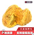 树舌灵芝/温江琪野山珍食品经营部 供应信息