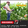 郑州市园林肩背除草割草小机器通用配件 图片