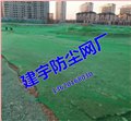 湛江，吴川，雷州，徐闻，廉江防尘网，盖土网生产厂家 图片