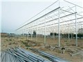 潍坊pc阳光板智能温室建设 供应信息