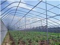 潍坊冬暖式温室建设 供应信息