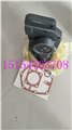V28 NTA855重康3018428水泵工程机械水泵 图片