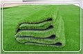 漯河庭院草坪人工塑料幼儿园草坪草坪网厂家 图片