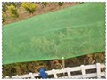 锡林郭勒盟工程盖土网 公路裸土盖土网 防尘绿化网 加密盖土网盖土网厂家 图片