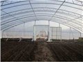 青岛双层膜蔬菜温室大棚/青岛开元钢结构有限公司 供应信息