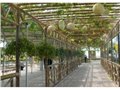 生态温室大棚厂商/青岛开元钢结构有限公司 供应信息