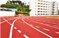 塑胶跑道加工/临沂耐地装饰材料有限公司 供应信息