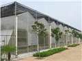 大棚遮阳系统/山东鑫万农业 供应信息
