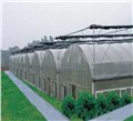 潍坊薄膜大棚配件价格/山东鑫万农业 供应信息