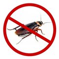 宿豫灭蟑螂公司-中泽生物 供应信息
