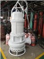 电动泥浆泵 耐磨杂质泵 防堵塞抽渣泵 图片