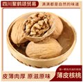 坚果干核桃/聚鹤颂贸易 供应信息