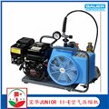 宝华JUNIOR II-E呼吸空气压缩机  呼吸空气填充泵  图片