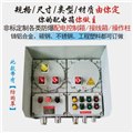  不锈钢防爆配电控制箱IIC级接线箱动力箱电源箱 图片
